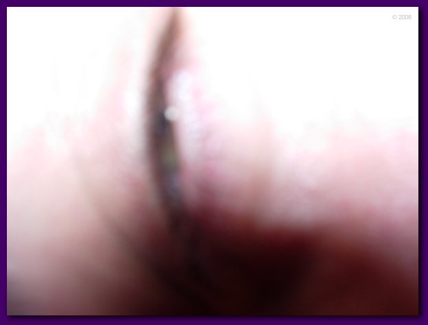602x451 pixels (37K)