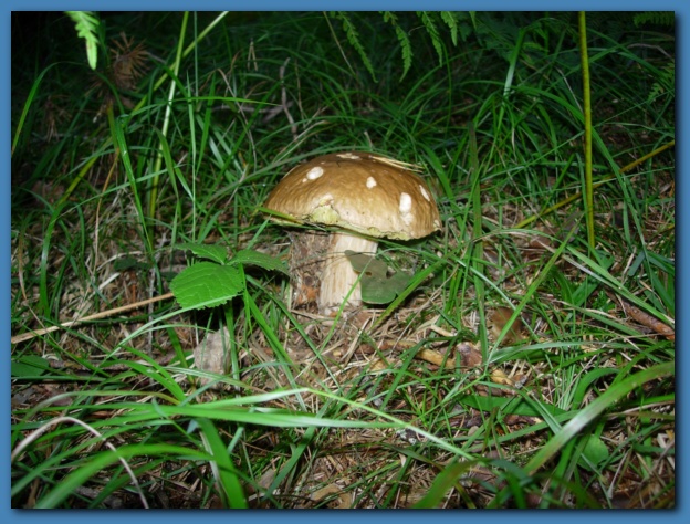 602x451 pixels (169K)