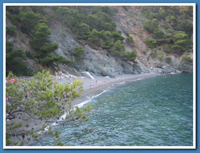 618x467 pixels (155K)