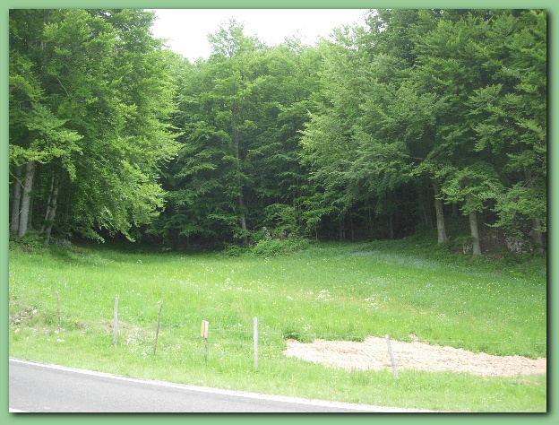 602x451 pixels (153K)