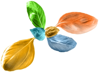 LifeType Logo