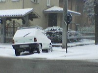 Panda sul Marciapiede foto 1
