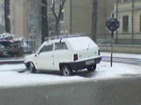 Panda sul marciapiede foto 2