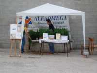 i pientti alfaomega...