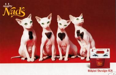 Pussy Shaved Heart Flash Rectancle Wast Bikini Line