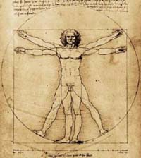 Vitruviano , luomo secondo Leonardo da Vinci